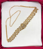 Matte finishing peacock design with multi-stones chain vaddanam