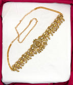 Matte finishing Lord Lakshmi Designed with Elephant and lotus Chain Vaddanam