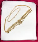 Matte finishing peacock design with golden balls chain vaddanam