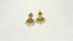 Matte finish lakshmi devi with pearls lomg haram